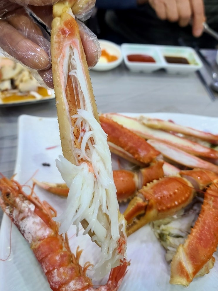 [포항]포항 여행 죽도시장 맛집/박달대게세트 가성비 맛집! 동남회식당!(재방문 솔직후기)