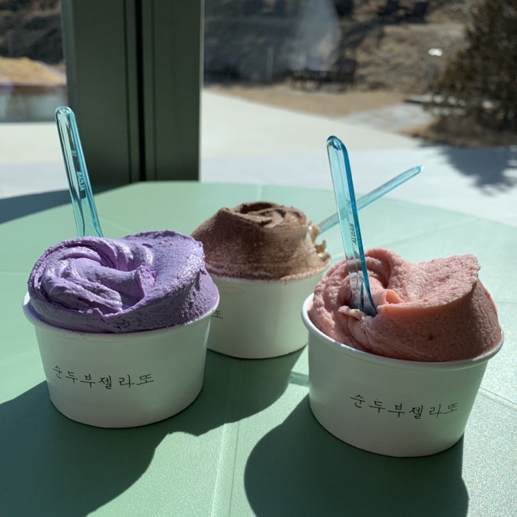  [강릉] 순두부젤라또 1호점과 2호점 방문기