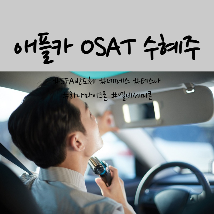  애플카 OSAT 수혜주 및 관련 기업 총정리(SFA반도체, 네페스, 만도, 한미반도체, 하나마이크론, 엠씨넥스, 테스나, 텔레칩스 등)