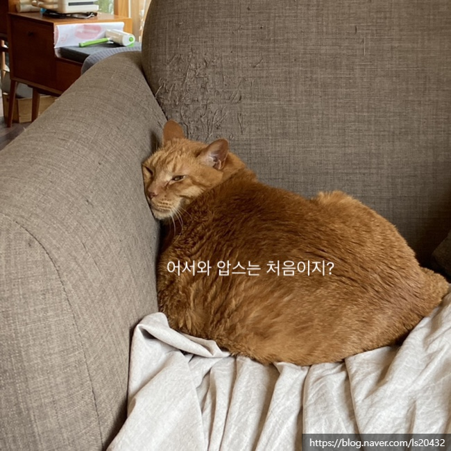  장시간 앉아있거나 서 있는 사람들을 위한 압박스타킹 추천(광고 X)