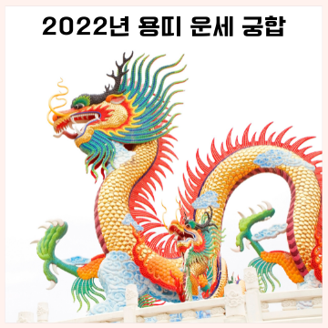  22년 용띠 운세 나이 성격 궁합 알아보니 삼재