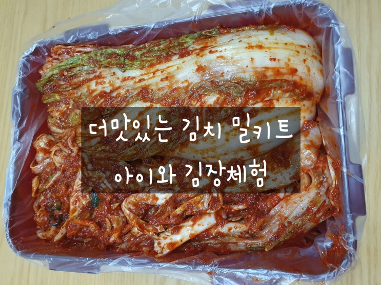 아이와 김치 만들기 - 더 맛있는 김치밀키트로 김장김치 담그기 아이와 김치 만들기 - 더 맛있는 김치밀키트로 김장김치 담그기