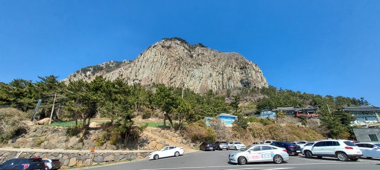  산방산 (유채꽃과 함께 봄을 맞이하다.)
