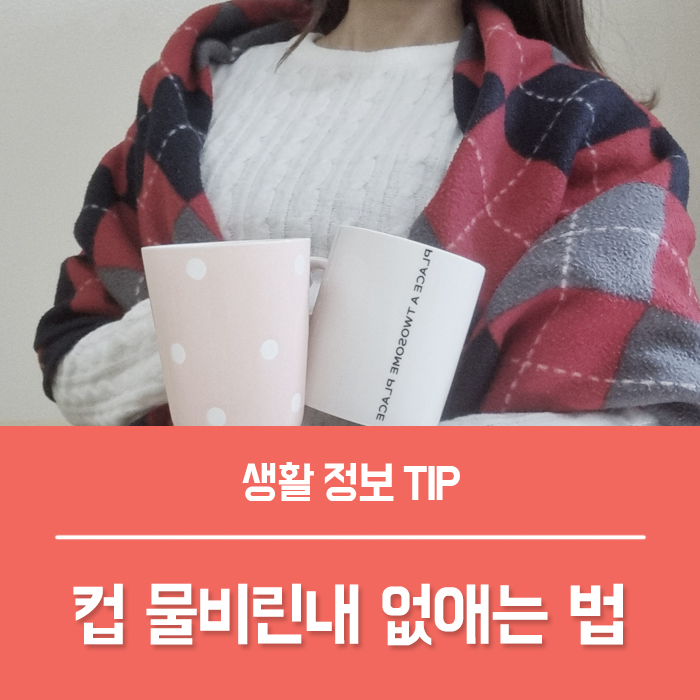  컵 물비린내 해결 7가지 팁 베이킹소다 활용법
