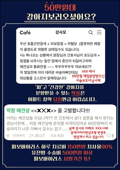  옥천강아지분양 건강한 아이들만 만나보세요