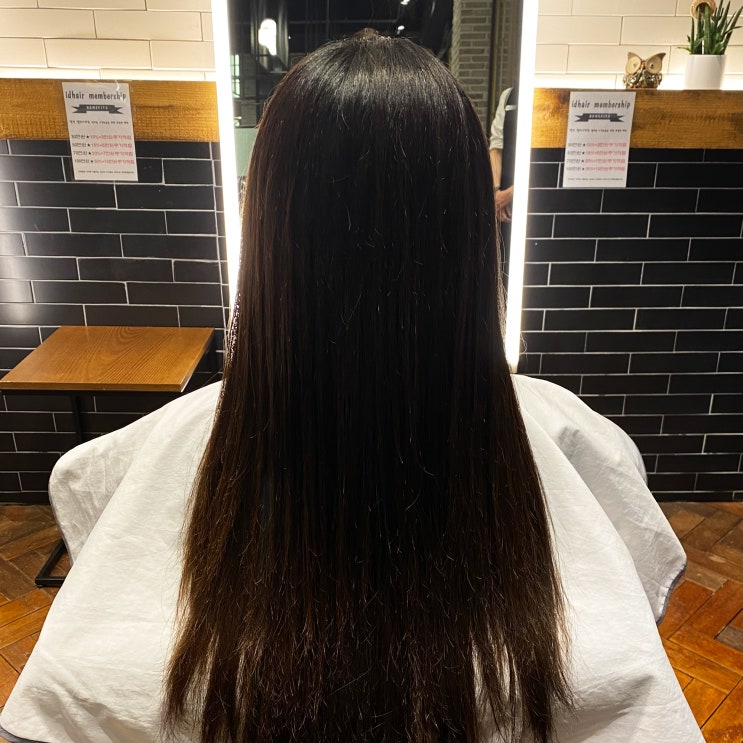  일산 백석 미용실 아이디헤어 벨라시타 선주 수석 부원장 클리닉 받은 후기