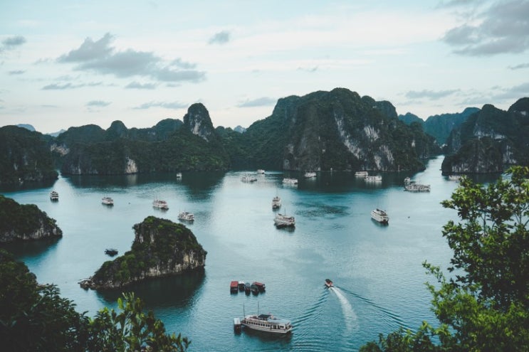 베트남 여행의 3월 15일 부터 가능? 해외여행가자