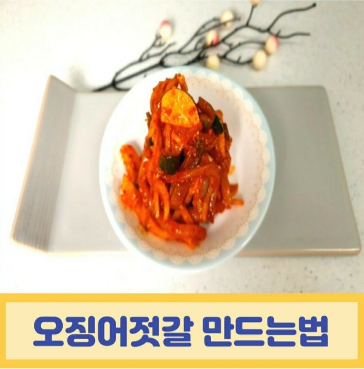  오징어젓갈 만드는법 엄마반찬 만들기/젓갈의 영양과 성분