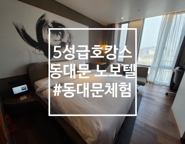  5성급 호캉스 동대문 노보텔 슈페리어룸 리뷰