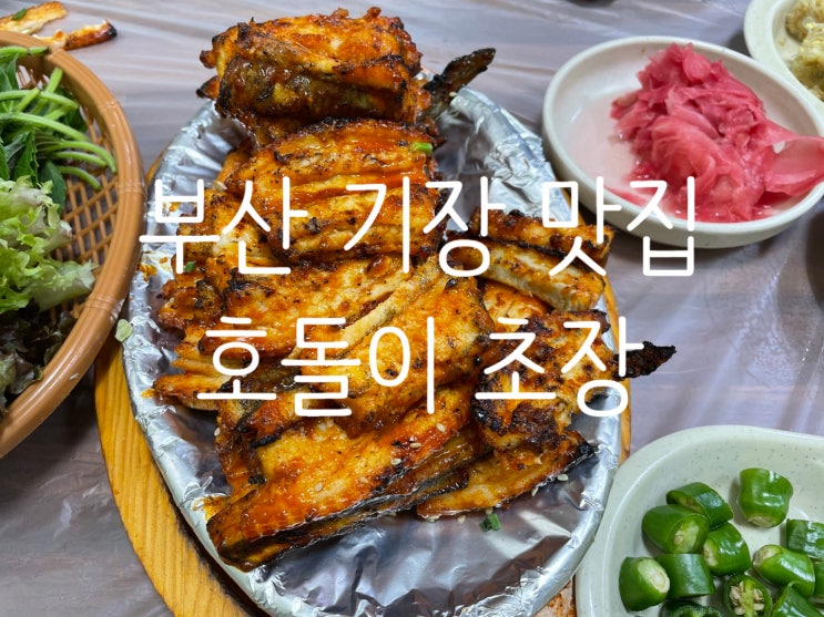  부산 기장 일광 해수욕장 맛집 "호돌이 초장집" 가격도 저렴하고 꼭 가봐야 할 맛집
