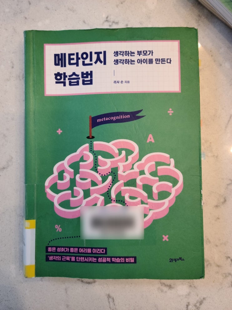  메타인지 학습법(리사 손 지음)