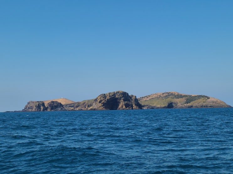  제주도 배낚시, 차귀도 달래 배낚시 체험 후기 및 리뷰(제주도 혼여행 3일차)