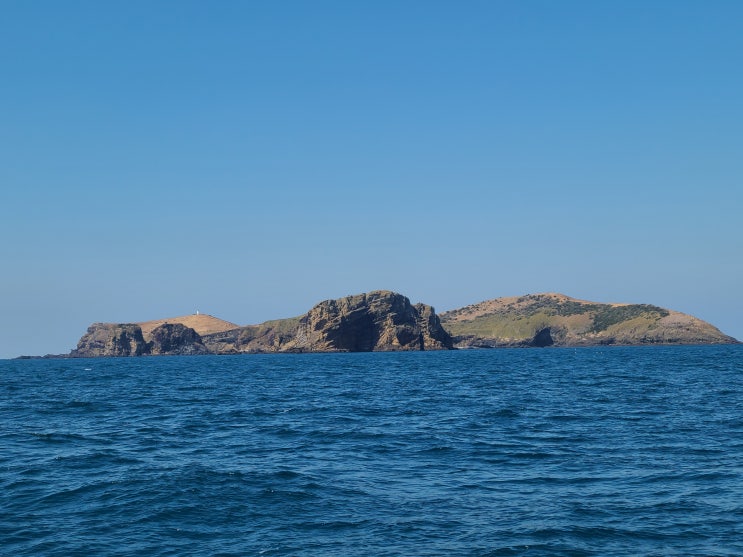 제주도 배낚시, 차귀도 달래 배낚시 체험 후기 및 리뷰(제주도 혼여행 3일차)