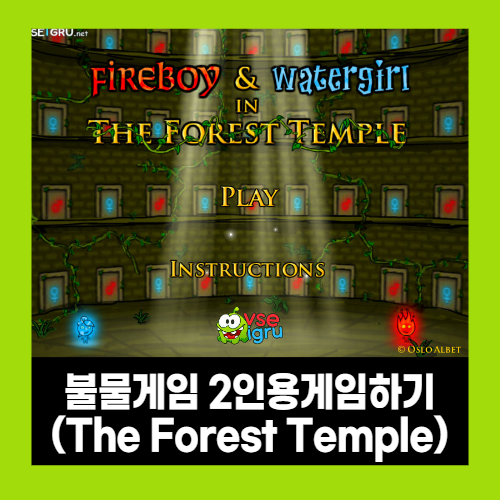 불물게임 (포레스트 템플) 불물게임 (포레스트 템플)