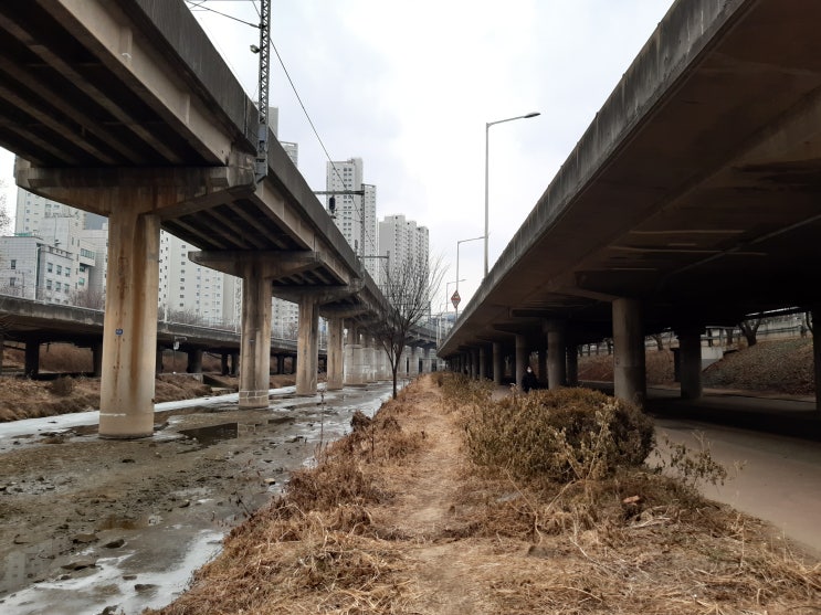  신림에서 신도림까지 도림천 걷기