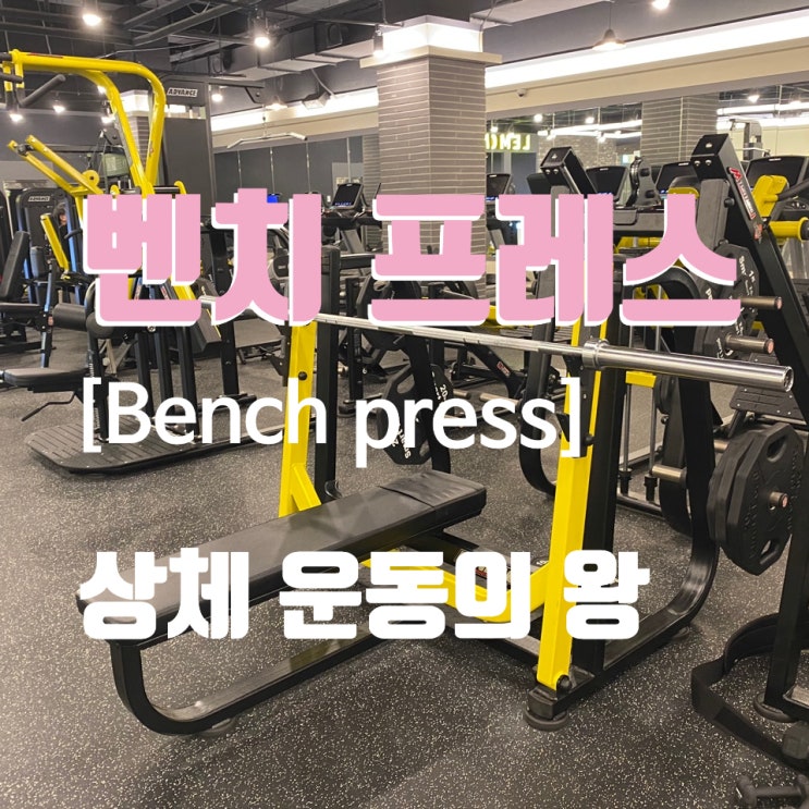  벤치프레스 운동 방법[Bench press], 가슴운동, 삼각근 등 가슴 및 상체 운동기구, 3대웨이트 트레이닝