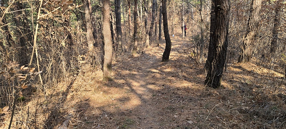 대막산 사진 5