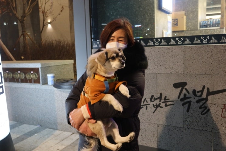  친정엄마가 부르니 단풍이가 답했다