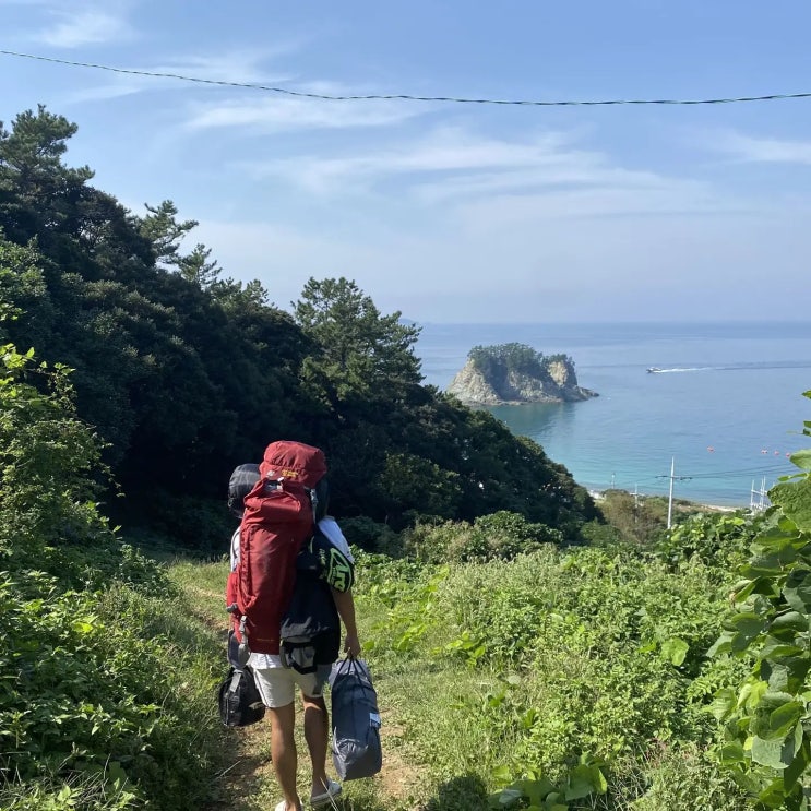  내가 세계여행을 꿈꾸기 시작한 계기 With. 정보사 이야기