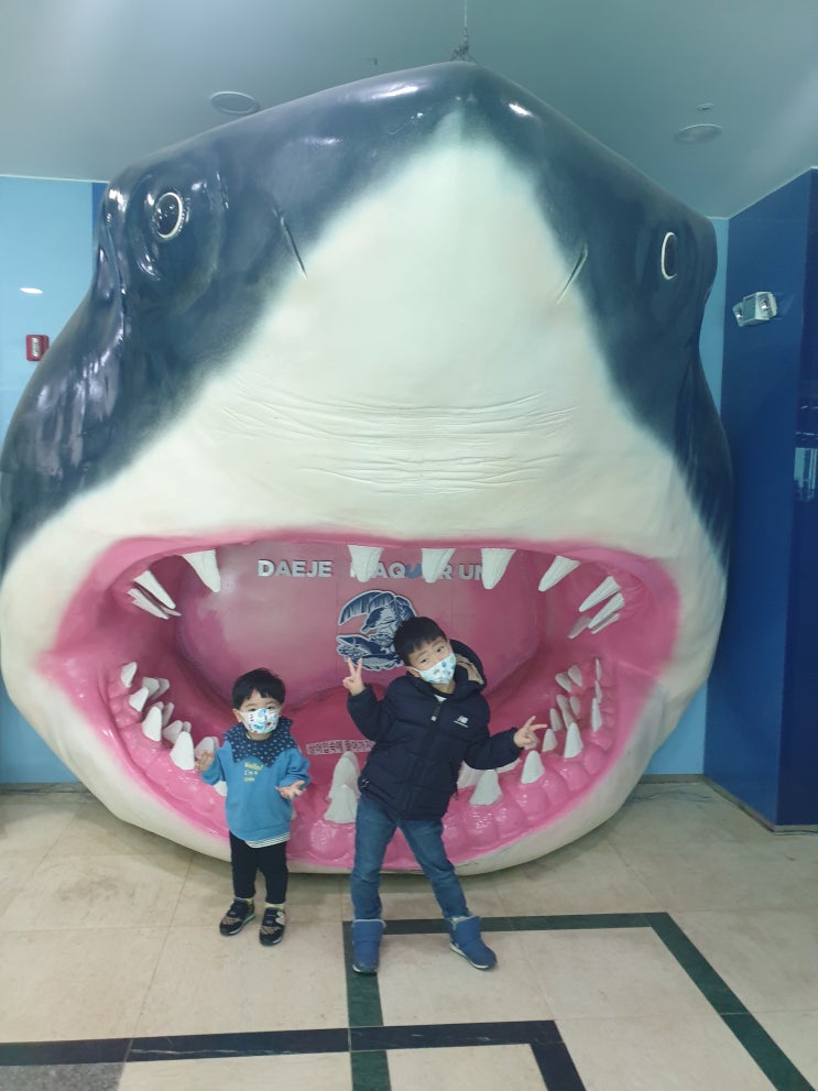  대전아쿠아리움 대전가볼만한곳 아쿠아리움 동물원