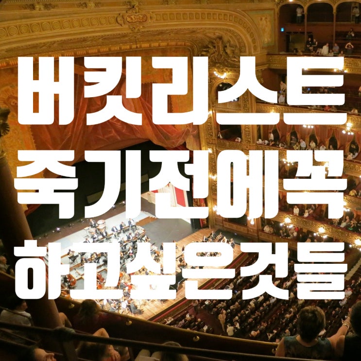  버킷리스트 죽기 전에 꼭하고 싶은것들