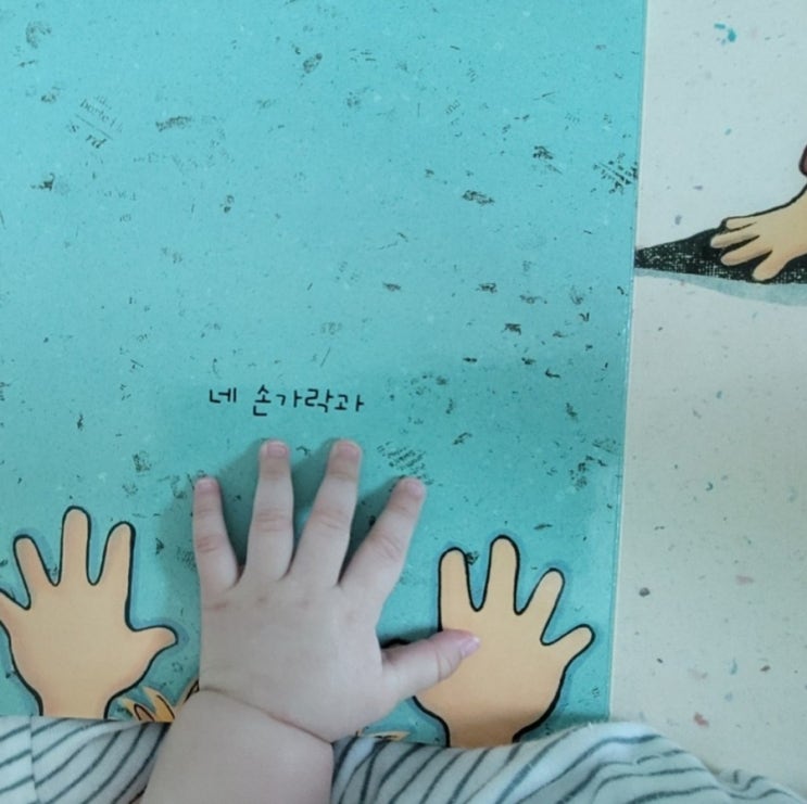  내돈내산:)사랑해사랑해사랑해 책 후기(아기 잠자리 책)