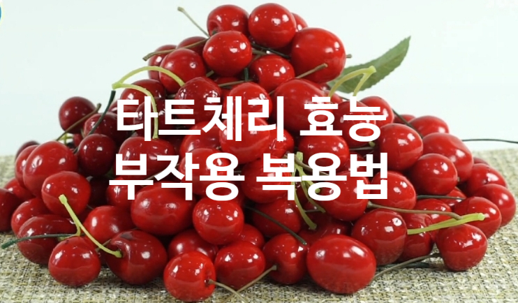 타트체리 효능 부작용(ft. 복용법 하루 섭취 권장량) 몽모랑시 멜라토닌