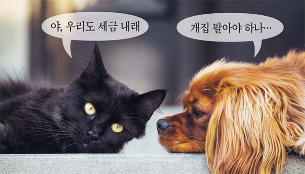  [찬반토론] 반려동물 보유세 찬반