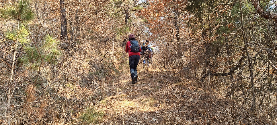 대막산 사진 3