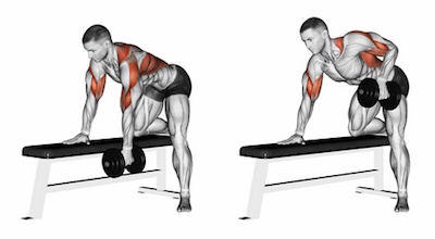  [운동일지] 불광 에이블짐 개인PT - 12회차 (등운동 루틴/ 원암덤벨로우, ARM PULL DOWN, LOW ROW, ISO-LATERAL WIDE PULL DOWN)