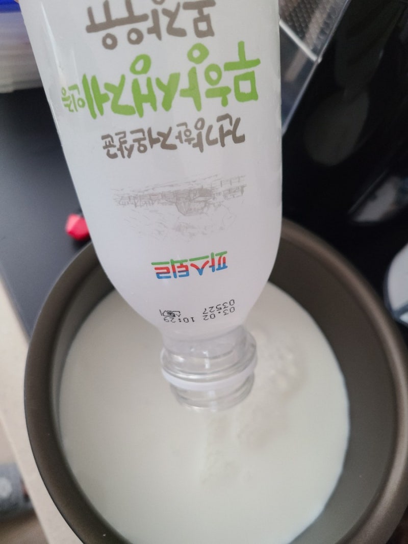 요거트 스타터 사코유산균으로 그릭요거트만들기 도전