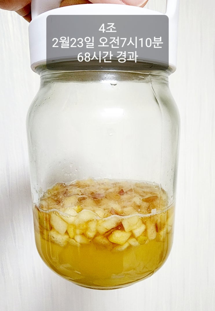  사과로만든 천연발효종 사워도우만들기