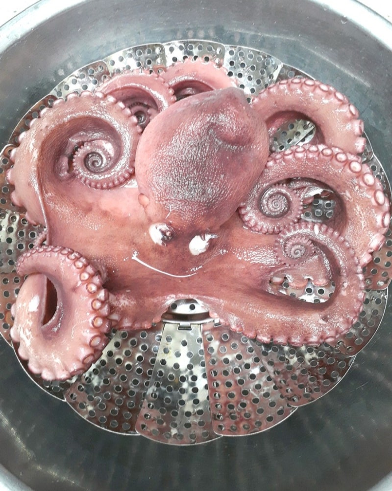 돌문어삶는법 맛있는문어숙회만들기 문어손질법 삶는시간 제사문어놓는법 제사음식