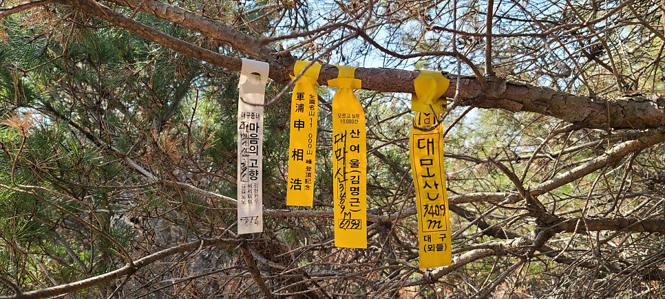 대막산 사진 4