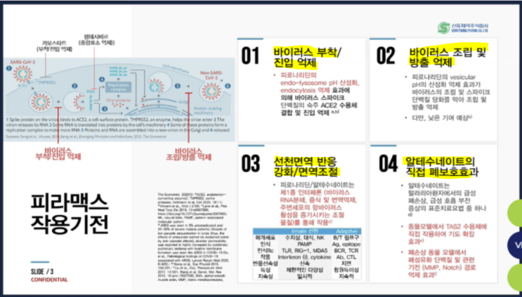 신풍제약 피라맥스! 필리핀 임상에서 중증환자 개선과 안전성 확보! 폐렴치료까지 클리어!  (어게피 #201)