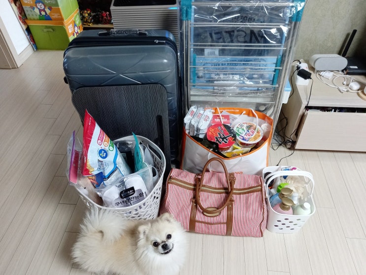 고등학교 기숙사 준비물 및 필수품 체크리스트