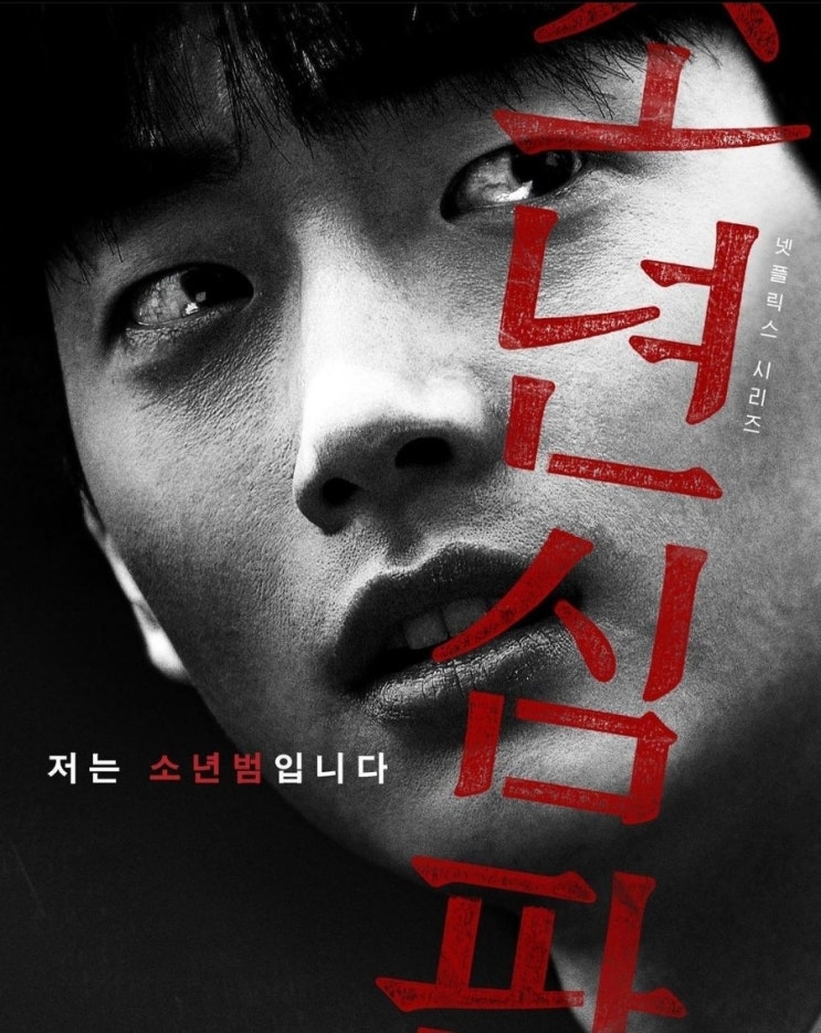  소년심판 6~10화 대사, we found out the truth, 나의 스승의 일기