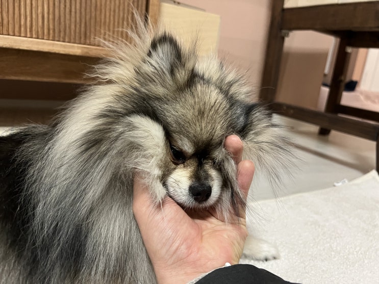  못생긴 꾸꾸리