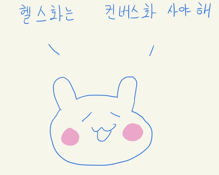  헬스화 데드화 어떤걸로 해야할까? ( 데드리프트 신발 추천, 헬스 신발 추천 분석)