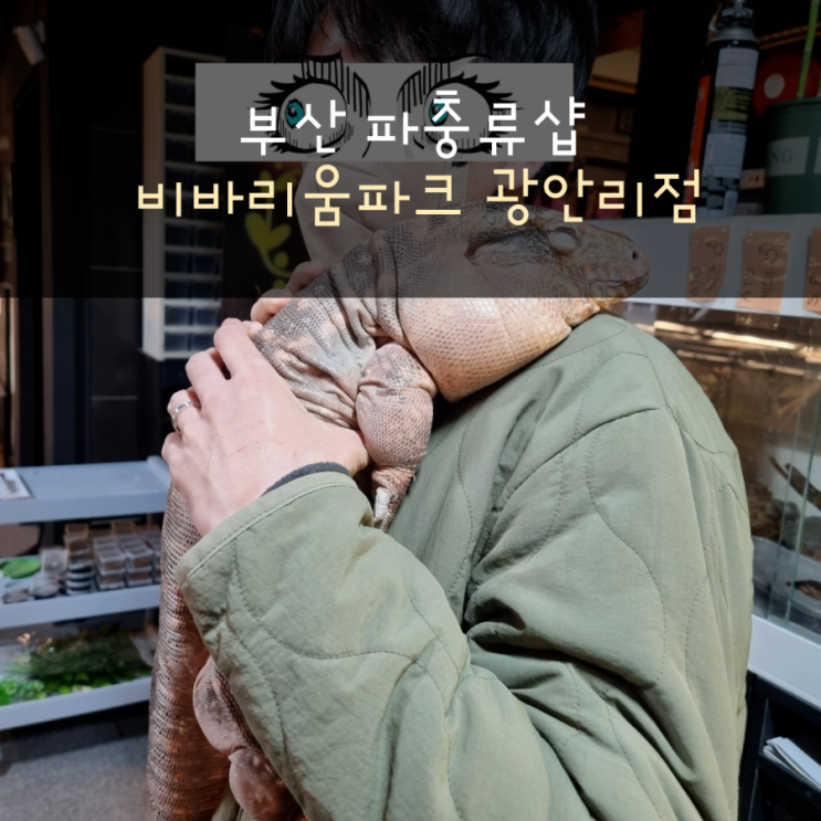  [부산 파충류샵] 부산 광안리 가볼만한곳 추천 비바리움파크 광안리점(벅빅렙타일)