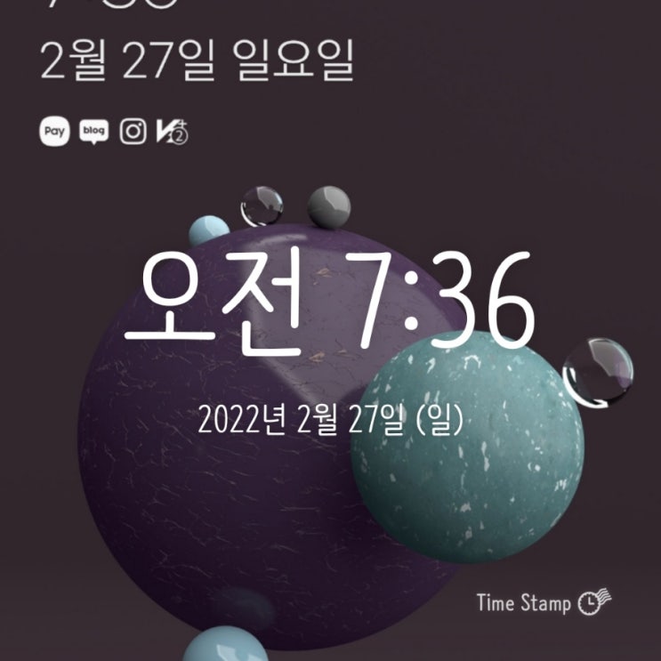  알파카모닝 30일차! 오늘 새 기타 사러갑니다.