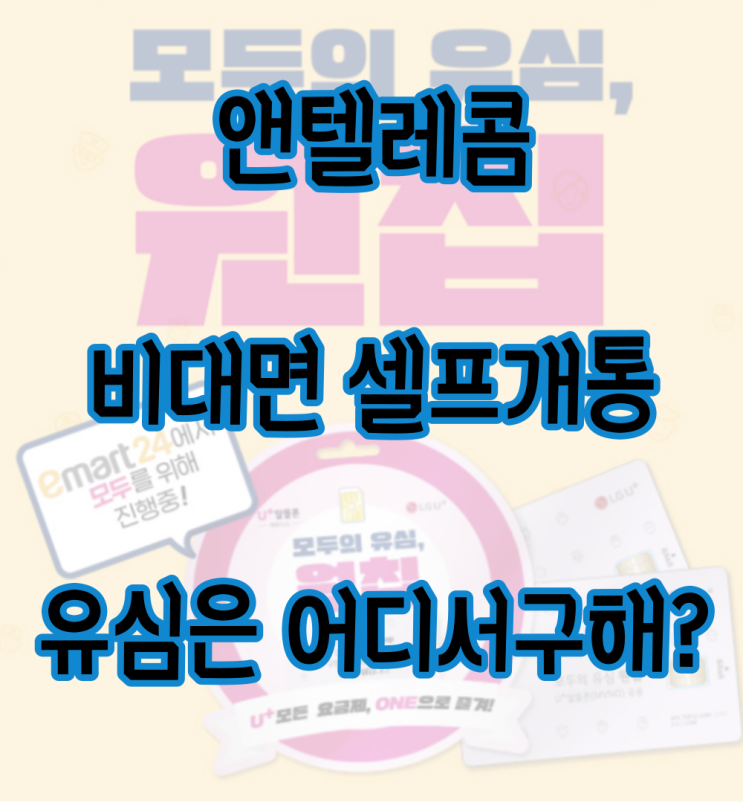  앤/엔텔레콤 KT/LG유플러스 비대면 셀프개통 유심은 어디서 구하나요?