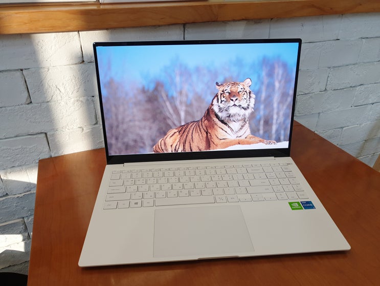 삼성노트북/입학선물추천 [삼성 갤럭시북 프로 NT950XDX-G51A]