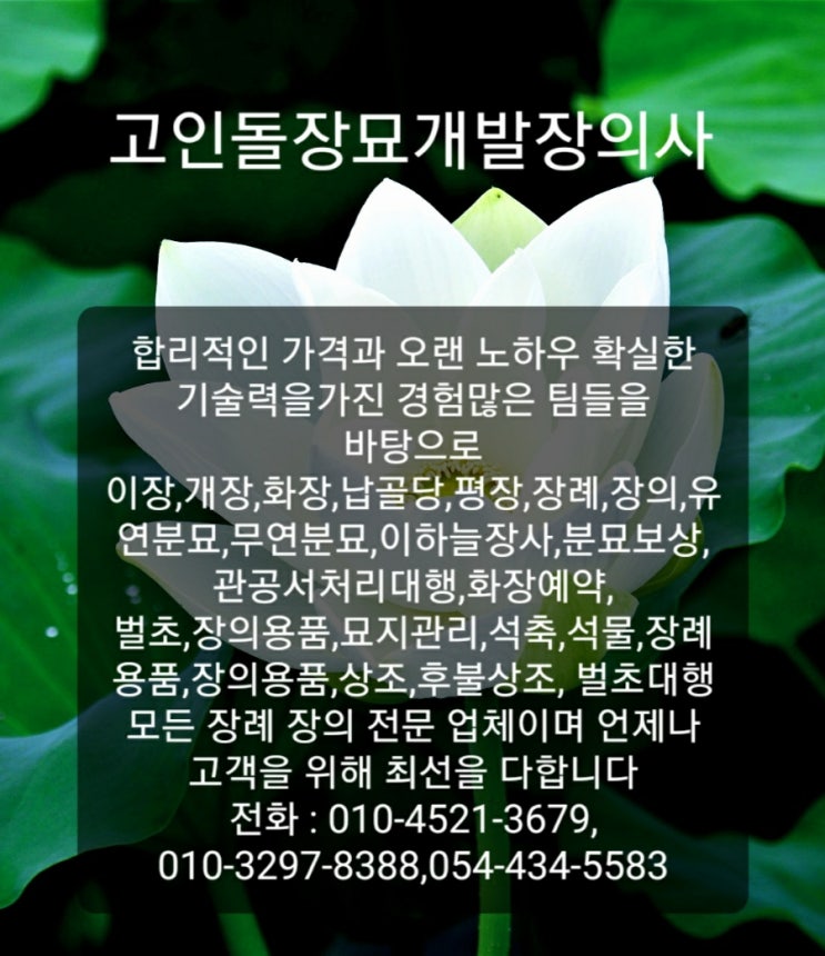 #장의사 #김천장의사 #구미장의사 #경북장의사 #대구장의사 #선산장의사 #영동장의사 #황간장의사 #문경장의사 #성주장의사 #상주장의사 #거창장의사 #칠곡장의사 #고령장의사 #e하늘