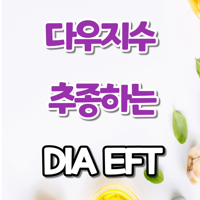 매월 배당받는 다우지수 추종하는 DIA  ETF