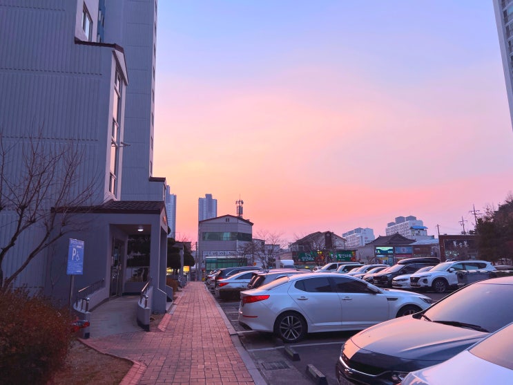  2월 27일 오늘 일기, 너무 짧아서 아쉬워!
