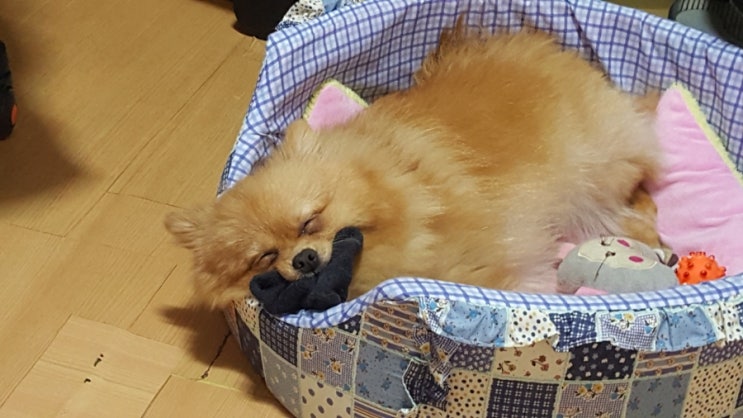  우리 사랑이 잘도 잔다~