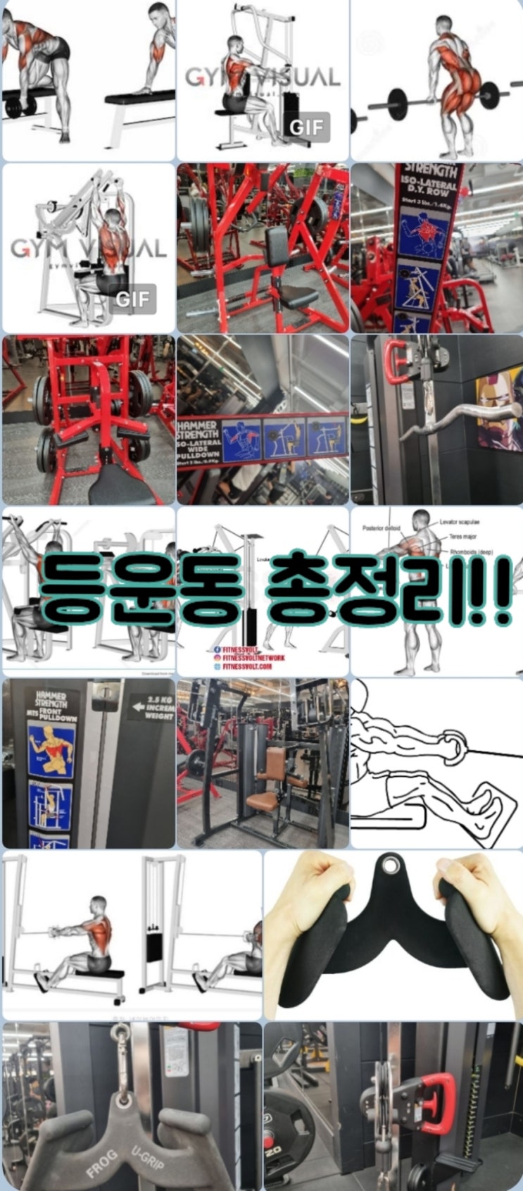  여태까지 배운 등운동 모음