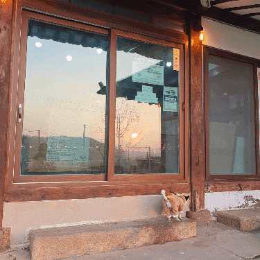  태안 한옥 애견카페 귀실 다녀왔어요