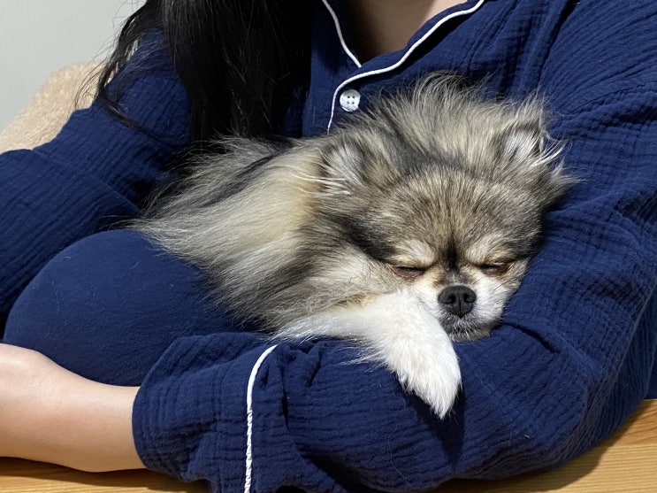  천사처럼 자고 있는 꾸꾸